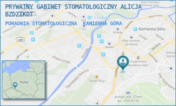 PORADNIA STOMATOLOGICZNA - PRYWATNY GABINET STOMATOLOGICZNY ALICJA BZDZIKOT - UL. LUDWIKA WARYŃSKIEGO 1/2,  KAMIENNA GÓRA