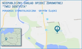 PORADNIA STOMATOLOGICZNA - NIEPUBLICZNY ZAKŁAD OPIEKI ZDROWOTNEJ "TWÓJ DENTYSTA" - UL. RZECZNA 25,  GRYFÓW ŚLĄSKI