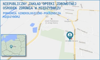 PORADNIA GINEKOLOGICZNO-POŁOŻNICZA - NIEPUBLICZNY ZAKŁAD OPIEKI ZDROWOTNEJ OŚRODEK ZDROWIA W MIĘDZYBORZU - UL. SYCOWSKA 34,  MIĘDZYBÓRZ