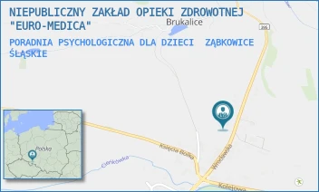 PORADNIA PSYCHOLOGICZNA DLA DZIECI - NIEPUBLICZNY ZAKŁAD OPIEKI ZDROWOTNEJ "EURO-MEDICA" - UL. WROCŁAWSKA 23,  ZĄBKOWICE ŚLĄSKIE