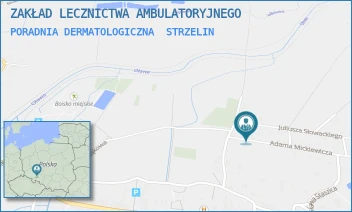 PORADNIA DERMATOLOGICZNA - ZAKŁAD LECZNICTWA AMBULATORYJNEGO - UL. ADAMA MICKIEWICZA 20,  STRZELIN