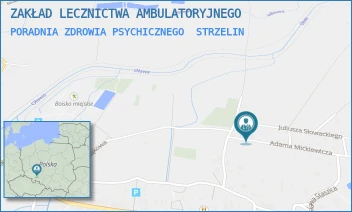 PORADNIA ZDROWIA PSYCHICZNEGO - ZAKŁAD LECZNICTWA AMBULATORYJNEGO - UL. ADAMA MICKIEWICZA 20,  STRZELIN