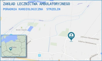 PORADNIA KARDIOLOGICZNA - ZAKŁAD LECZNICTWA AMBULATORYJNEGO - UL. ADAMA MICKIEWICZA 20,  STRZELIN