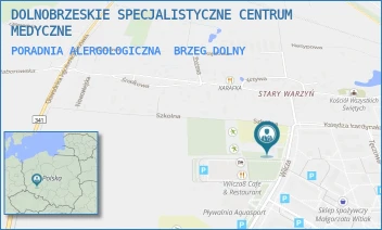 PORADNIA ALERGOLOGICZNA - DOLNOBRZESKIE SPECJALISTYCZNE CENTRUM MEDYCZNE - UL. WILCZA 6,  BRZEG DOLNY