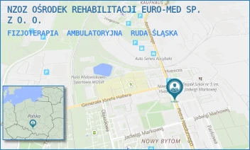FIZJOTERAPIA  AMBULATORYJNA - NZOZ OŚRODEK REHABILITACJI EURO-MED SP. Z O. O. - UL. PIOTRA NIEDURNEGO 50D,  RUDA ŚLĄSKA