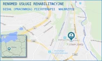 DZIAŁ (PRACOWNIA) FIZJOTERAPII - RENOMED USŁUGI REHABILITACYJNE - UL. ARMII KRAJOWEJ 41,  WAŁBRZYCH