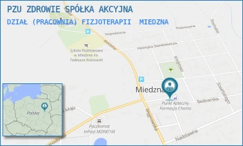 DZIAŁ (PRACOWNIA) FIZJOTERAPII - PZU ZDROWIE SPÓŁKA AKCYJNA - WOLNOŚCI 8,  MIEDZNA