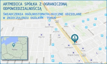 ŚWIADCZENIA OGÓLNOSTOMATOLOGICZNE UDZIELANE W ZNIECZULENIU OGÓLNYM - ARTMEDICA SPÓŁKA Z OGRANICZONĄ ODPOWIEDZIALNOŚCIĄ - SZOSA CHEŁMIŃSKA 166,  TORUŃ