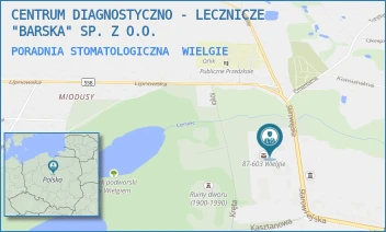 PORADNIA STOMATOLOGICZNA - CENTRUM DIAGNOSTYCZNO - LECZNICZE "BARSKA" SP. Z O.O. - STAROWIEJSKA 87,  WIELGIE