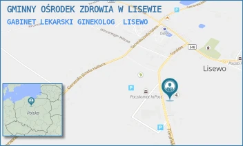 GABINET LEKARSKI GINEKOLOG - GMINNY OŚRODEK ZDROWIA W LISEWIE - TORUŃSKA 14,  LISEWO