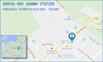 PORADNIA STOMATOLOGICZNA - DENTAL-MED JOANNA STĘPIEŃ - AL. PARTYZANTÓW 48/L7,  PUŁAWY