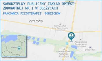 PRACOWNIA FIZJOTERAPII - SAMODZIELNY PUBLICZNY ZAKŁAD OPIEKI ZDROWOTNEJ NR 1 W BEŁŻYCACH - BORZECHOW KOLONIA 231,  BORZECHÓW