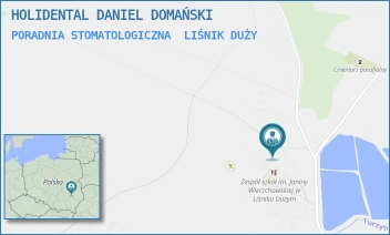 PORADNIA STOMATOLOGICZNA - HOLIDENTAL DANIEL DOMAŃSKI - 163,  LIŚNIK DUŻY