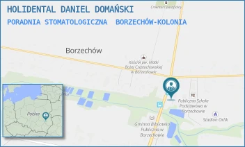 PORADNIA STOMATOLOGICZNA - HOLIDENTAL DANIEL DOMAŃSKI - 231,  BORZECHÓW-KOLONIA