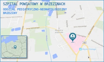ODDZIAŁ PEDIATRYCZNO-NEONATOLOGICZNY - SZPITAL POWIATOWY W BRZEZINACH - UL. MARII SKŁODOWSKIEJ-CURIE 6,  BRZEZINY