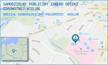 ODDZIAŁ GINEKOLOGICZNO-POŁOŻNICZY - SAMODZIELNY PUBLICZNY ZAKŁAD OPIEKI ZDROWOTNEJ WIELUŃ - UL. UL. SZPITALNA 16,  WIELUŃ