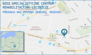 PORADNIA WAD POSTAWY BRZESKO - NZOZ SPECJALISTYCZNE CENTRUM REHABILITACYJNO-LECZNICZE - UL. PLAC KAZIMIERZA WIELKIEGO 3,  BRZESKO