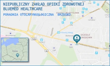 PORADNIA OTOLARYNGOLOGICZNA - NIEPUBLICZNY ZAKŁAD OPIEKI ZDROWOTNEJ BLUEMED HEALTHCARE - KOŚCIUSZI 47 47,  BRZESKO