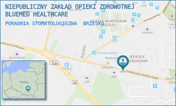PORADNIA STOMATOLOGICZNA - NIEPUBLICZNY ZAKŁAD OPIEKI ZDROWOTNEJ BLUEMED HEALTHCARE - UL. KOŚCIUSZI 47 47,  BRZESKO