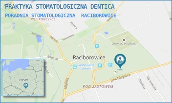 PORADNIA STOMATOLOGICZNA - PRAKTYKA STOMATOLOGICZNA DENTICA - UL. JANA DŁUGOSZA 36,  RACIBOROWICE