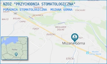 PORADNIA STOMATOLOGICZNA - NZOZ "PRZYCHODNIA STOMATOLOGICZNA" - UL. MSZANA GÓRNA 401,  MSZANA GÓRNA