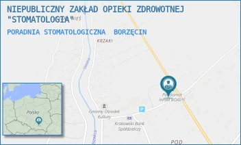 PORADNIA STOMATOLOGICZNA - NIEPUBLICZNY ZAKŁAD OPIEKI ZDROWOTNEJ "STOMATOLOGIA" - BORZĘCIN 563B,  BORZĘCIN