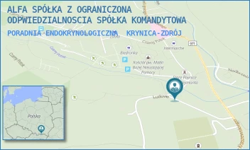PORADNIA ENDOKRYNOLOGICZNA - ALFA SPÓŁKA Z OGRANICZONA ODPWIEDZIALNOSCIA SPÓŁKA KOMANDYTOWA - UL. REYMONTA 21,  KRYNICA-ZDRÓJ