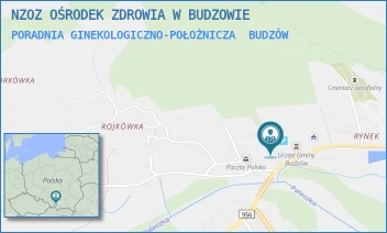 PORADNIA GINEKOLOGICZNO-POŁOŻNICZA - NZOZ OŚRODEK ZDROWIA W BUDZOWIE - UL. BUDZÓW 460,  BUDZÓW