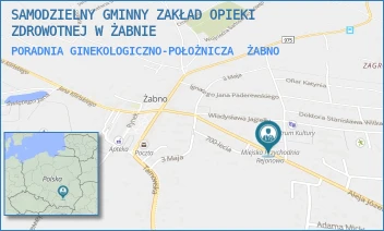 PORADNIA GINEKOLOGICZNO-POŁOŻNICZA - SAMODZIELNY GMINNY ZAKŁAD OPIEKI ZDROWOTNEJ W ŻABNIE - UL. ALEJA PIŁSUDSKIEGO 7,  ŻABNO