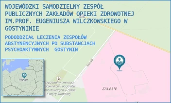 PODODDZIAŁ LECZENIA ZESPOŁÓW ABSTYNENCYJNYCH PO SUBSTANCJACH PSYCHOAKTYWNYCH - WOJEWÓDZKI SAMODZIELNY ZESPÓŁ PUBLICZNYCH ZAKŁADÓW OPIEKI ZDROWOTNEJ IM.PROF. EUGENIUSZA WILCZKOWSKIEGO W GOSTYNINIE - ZALESIE 1,  GOSTYNIN