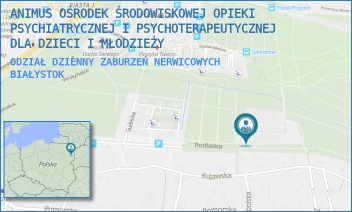 ODZIAŁ DZIENNY ZABURZEŃ NERWICOWYCH - ANIMUS OŚRODEK ŚRODOWISKOWEJ OPIEKI PSYCHIATRYCZNEJ I PSYCHOTERAPEUTYCZNEJ DLA DZIECI I MŁODZIEŻY - KUJAWSKA 53/1,  BIAŁYSTOK
