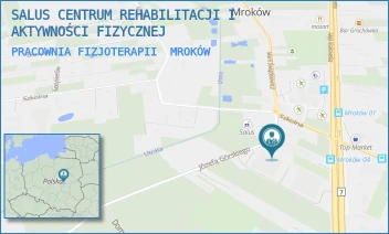 PRACOWNIA FIZJOTERAPII - SALUS CENTRUM REHABILITACJI I AKTYWNOŚCI FIZYCZNEJ - JÓZEFA GÓRSKIEGO 15,  MROKÓW