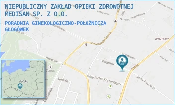 PORADNIA GINEKOLOGICZNO-POŁOŻNICZA - NIEPUBLICZNY ZAKŁAD OPIEKI ZDROWOTNEJ MEDISAN SP. Z O.O. - UL. TARGOWA 6,  GŁOGÓWEK
