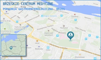PORADNIA GASTROENTEROLOGICZNA - BRZESKIE CENTRUM MEDYCZNE - UL. SERGIUSZA MOSSORA 1,  BRZEG