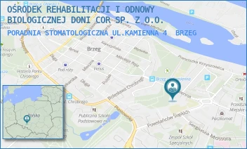 PORADNIA STOMATOLOGICZNA UL.KAMIENNA 4 - OŚRODEK REHABILITACJI I ODNOWY BIOLOGICZNEJ DONI COR SP. Z O.O. - UL. KAMIENNA 4,  BRZEG