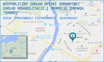 DZIAŁ (PRACOWNIA) FIZJOTERAPII - NIEPUBLICZNY ZAKŁAD OPIEKI ZDROWOTNEJ ZAKŁAD REHABILITACJI I PROMOCJI ZDROWIA "KANMED" - UL. RYNEK 12-14,  GŁUCHOŁAZY