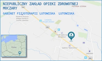 GABINET FIZJOTERAPII LUTOWISKA - NIEPUBLICZNY ZAKŁAD OPIEKI ZDROWOTNEJ MOCZARY - LUTOWISKA 77/1,  LUTOWISKA