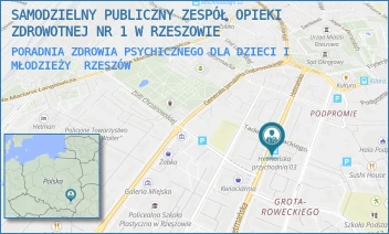 PORADNIA ZDROWIA PSYCHICZNEGO DLA DZIECI I MŁODZIEŻY - SAMODZIELNY PUBLICZNY ZESPÓŁ OPIEKI ZDROWOTNEJ NR 1 W RZESZOWIE - UL. HETMAŃSKA 21,  RZESZÓW
