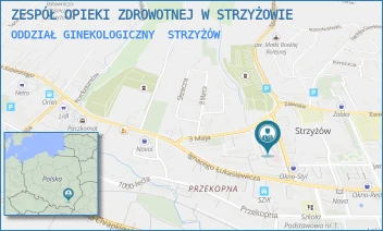 ODDZIAŁ GINEKOLOGICZNY - ZESPÓŁ OPIEKI ZDROWOTNEJ W STRZYŻOWIE - UL. 700-LECIA 1,  STRZYŻÓW