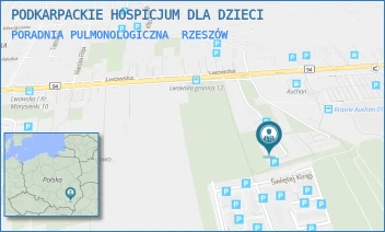PORADNIA PULMONOLOGICZNA - SKOWRONEK - Ośrodek Rehabilitacji Dzieci i Młodzieży - UL. LWOWSKA 132,  RZESZÓW