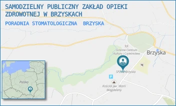 PORADNIA STOMATOLOGICZNA - SAMODZIELNY PUBLICZNY ZAKŁAD OPIEKI ZDROWOTNEJ W BRZYSKACH - BRZYSKA 349,  BRZYSKA