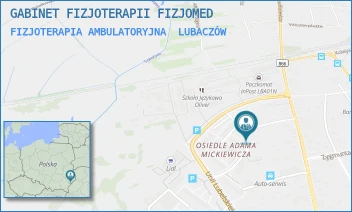 FIZJOTERAPIA AMBULATORYJNA - GABINET FIZJOTERAPII FIZJOMED - UL. JÓZEFA PLUCHY 13,  LUBACZÓW