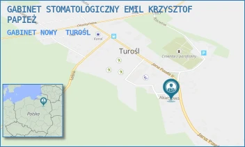 GABINET NOWY - GABINET STOMATOLOGICZNY EMIL KRZYSZTOF PAPIEŻ - JANA PAWŁA II 36,  TUROŚL