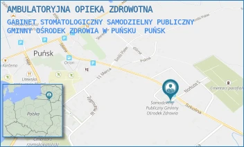 GABINET STOMATOLOGICZNY SAMODZIELNY PUBLICZNY GMINNY OŚRODEK ZDROWIA W PUŃSKU - AMBULATORYJNA OPIEKA ZDROWOTNA - SZKOLNA 26,  PUŃSK