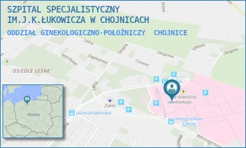 ODDZIAŁ GINEKOLOGICZNO-POŁOŻNICZY - SZPITAL SPECJALISTYCZNY IM.J.K.ŁUKOWICZA W CHOJNICACH - UL. LEŚNA 10,  CHOJNICE