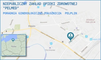 PORADNIA GINEKOLOGICZNO-POŁOŻNICZA - NIEPUBLICZNY ZAKŁAD OPIEKI ZDROWOTNEJ "PELMED" - UL. WYBICKIEGO 14,  PELPLIN