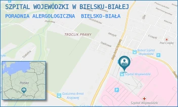 PORADNIA ALERGOLOGICZNA - SZPITAL WOJEWÓDZKI W BIELSKU-BIAŁEJ - UL. AL.ARMII KRAJOWEJ 101,  BIELSKO-BIAŁA
