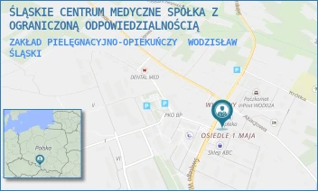 ZAKŁAD PIELĘGNACYJNO-OPIEKUŃCZY - ŚLĄSKIE CENTRUM MEDYCZNE SPÓŁKA Z OGRANICZONĄ ODPOWIEDZIALNOŚCIĄ - UL. ŚWIĘTEGO WAWRZYŃCA 1,  WODZISŁAW ŚLĄSKI