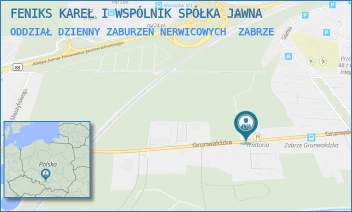 ODDZIAŁ DZIENNY ZABURZEŃ NERWICOWYCH - FENIKS KAREŁ I WSPÓLNIK SPÓŁKA JAWNA - UL. GRUNWALDZKA 46,  ZABRZE