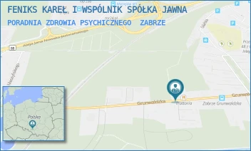 PORADNIA ZDROWIA PSYCHICZNEGO - FENIKS KAREŁ I WSPÓLNIK SPÓŁKA JAWNA - UL. GRUNWALDZKA 46,  ZABRZE